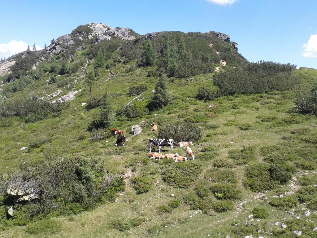 Alpenhotel Marcius Sonnenalpe Nassfeld Ngoại thất bức ảnh
